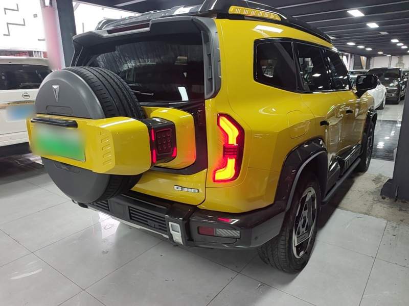 Used Deepal G318 2025 Worry-Free Adventure Edition Four-Wheel Drive Secret Realm Version — 6