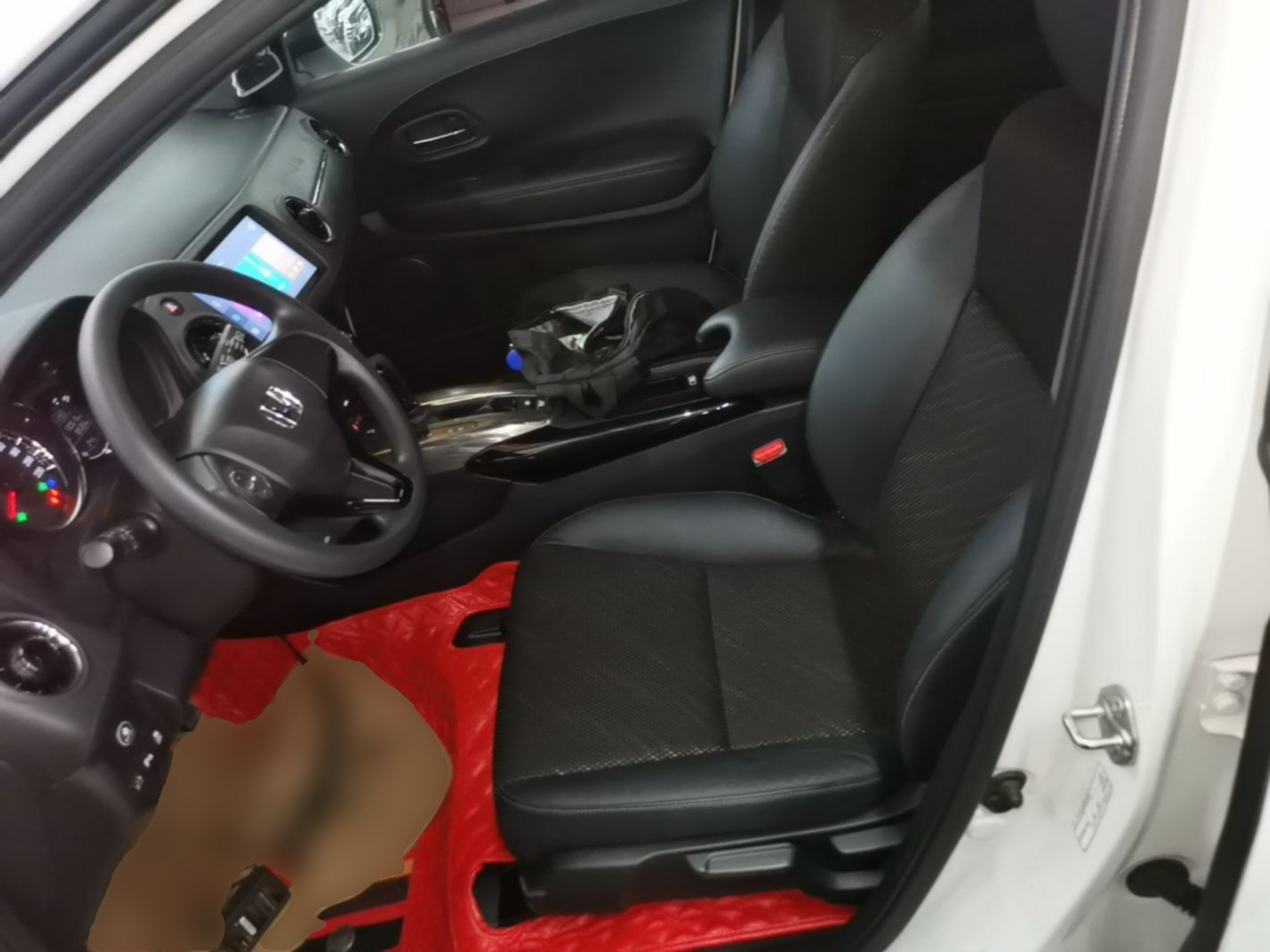 Interior delantero