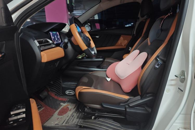 Used BYD e2 2021 Luxury Model Left Front Seat