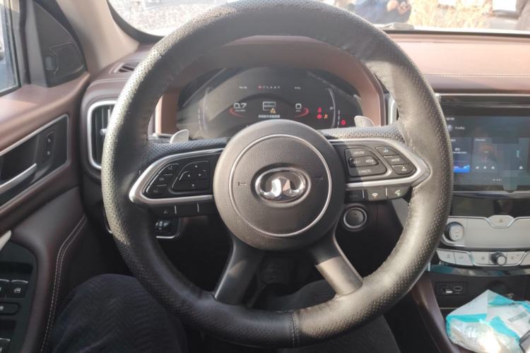 Used Great Wall Poer 2019 2.0T Automatic Gasoline 4x4 Premium Edition GW4C20B
