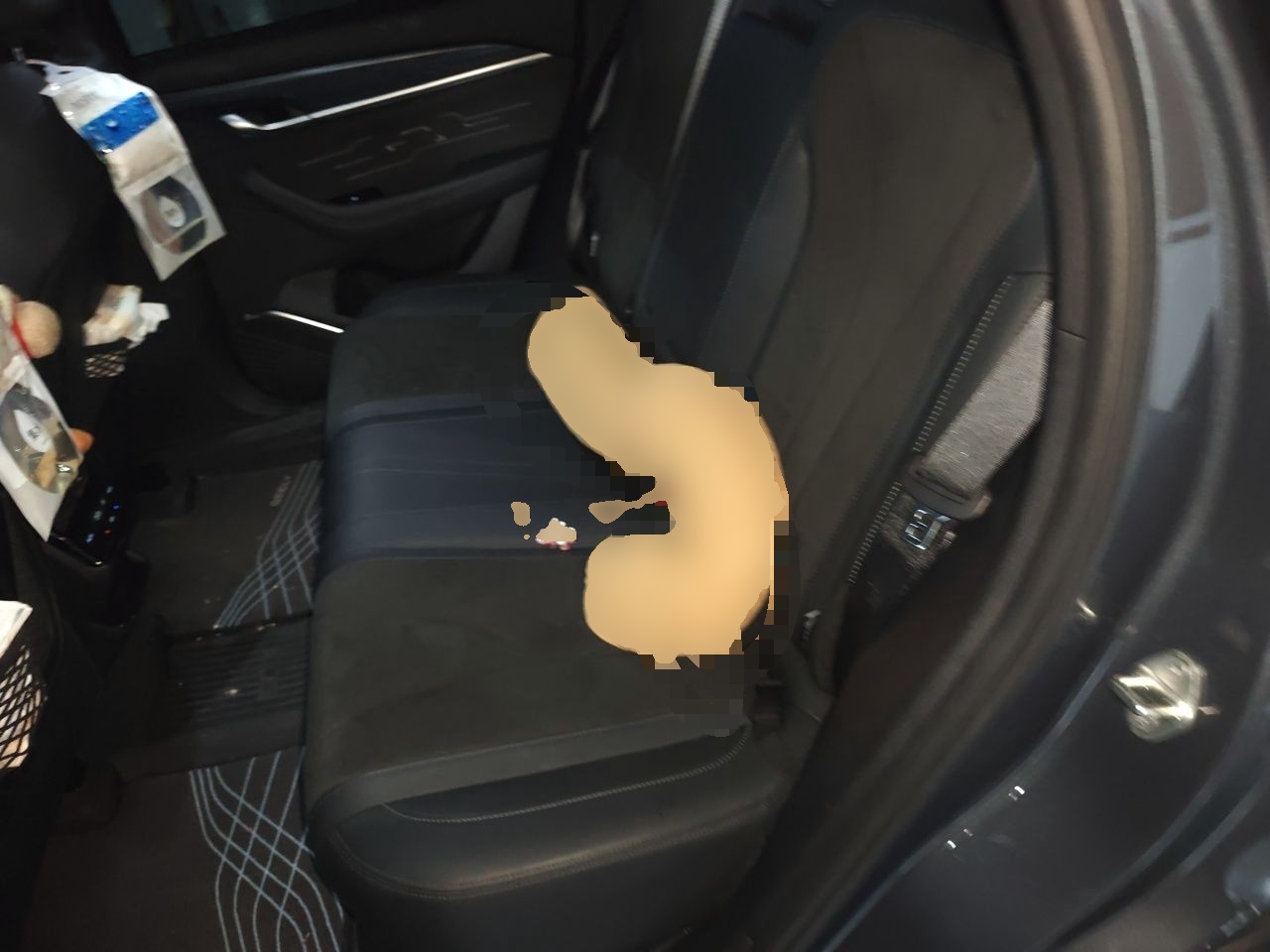 Geely Auto Monjaro L 2024 2.0TD High-Power Automatic Two-Wheel Drive Skyline Edition — снимка 17