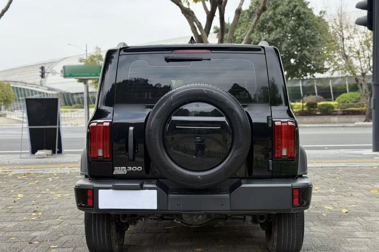 Used Tank 300 2024 2.0T Conqueror
