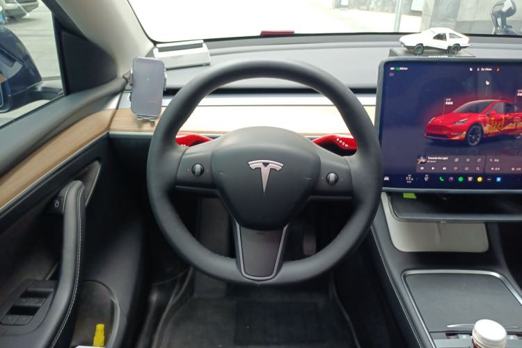 Used Tesla Model Y 2022 Rear-Wheel-Drive Version