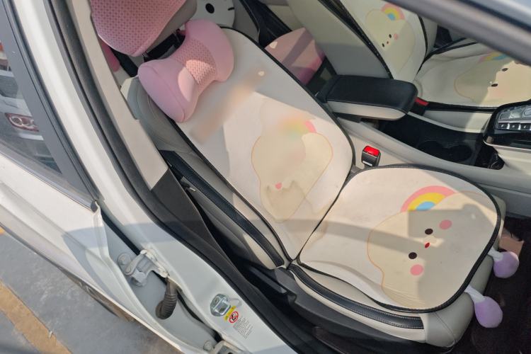 Used BYD Yuan Pro 2021 401 km Deluxe Version Right Front Seat