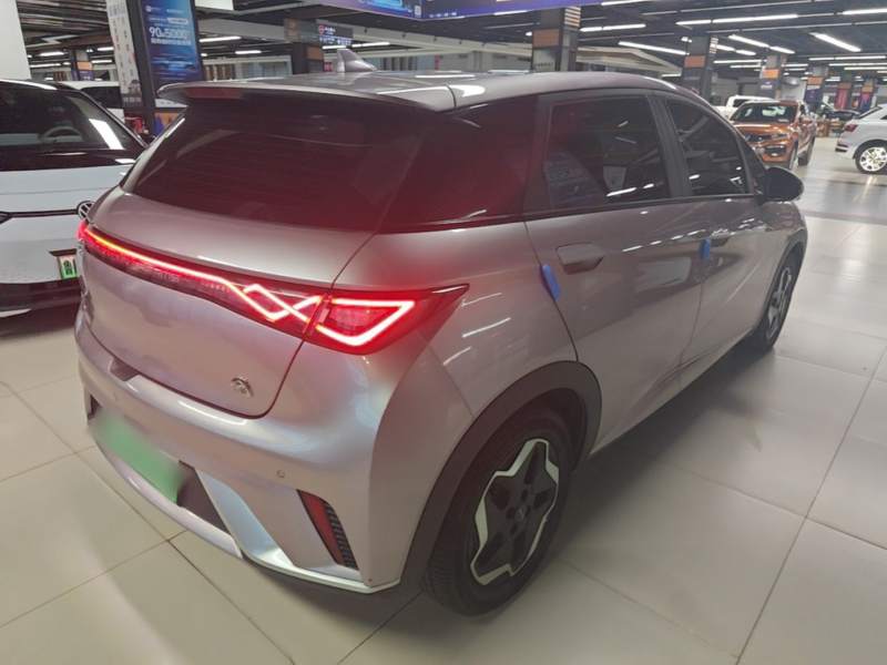 Used BYD Dolphin 2021 405 km Fashion Edition — 6