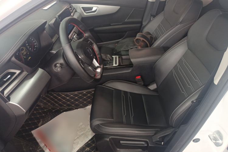 Used BYD Qin 2019 1.5L Automatic Prestige Model Left Front Seat