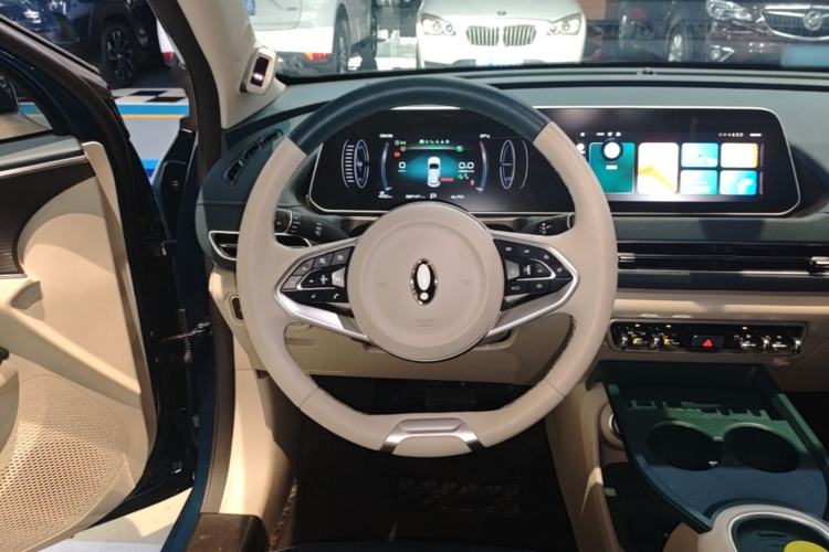 Used ORA Good Cat 2024 401 km Range Luxury Version 135 kW
