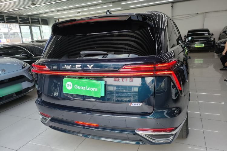 Used Wey Lanshan 2023 Four-Wheel Drive Ultra-Long Range Version