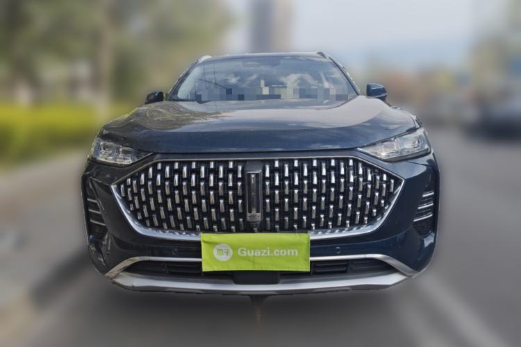 Used Wey Mocha 2021 2.0T Four-Wheel Drive Premium Edition
