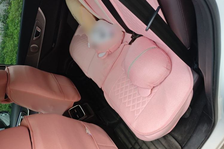 Used Chery Tiggo 8 PRO 2022 290T Two-Wheel Drive Haohan Edition 5 Seats Left Rear Seat