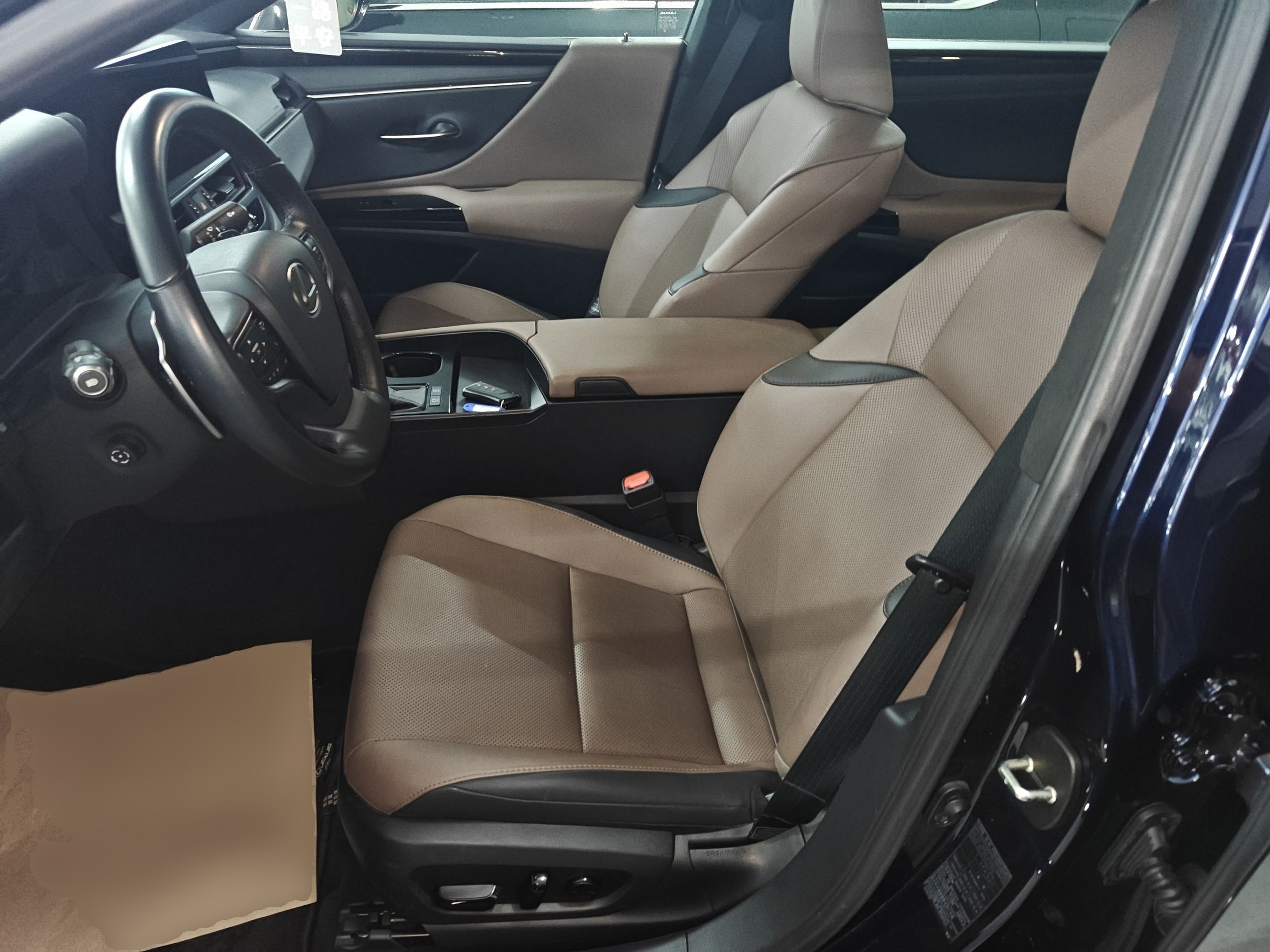 Interior delantero