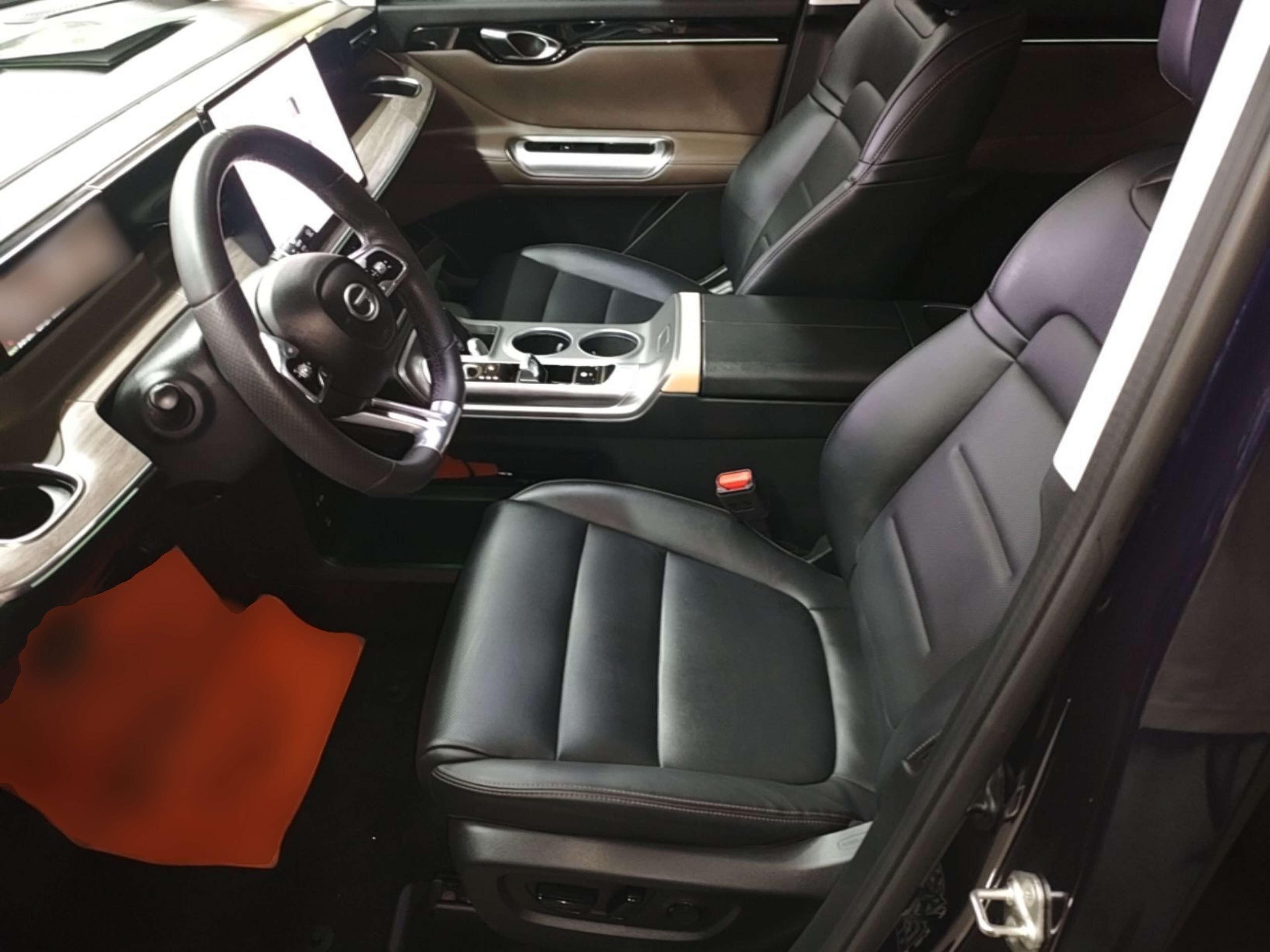 Interior delantero