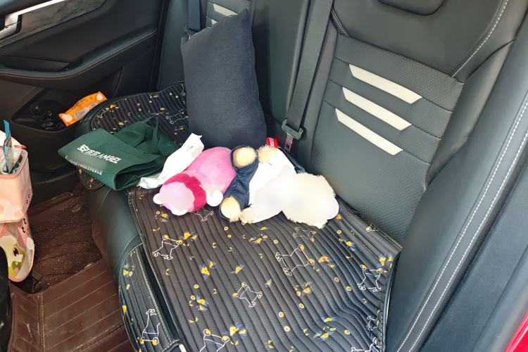 Used BYD Qin Pro New Energy 2018 DM 1.5TI Automatic Smart Connect Elite Model Left Rear Seat