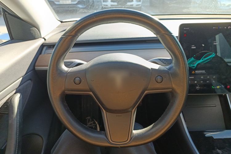 Used Tesla Model 3 (Import) 2019 Long-Range Rear-Wheel-Drive Version
