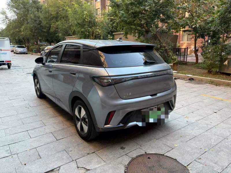 Used BYD Dolphin 2023 420 km Free Version — 10