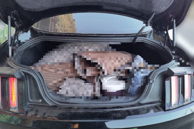 Used Ford Mustang 2017 2.3T Performance Edition