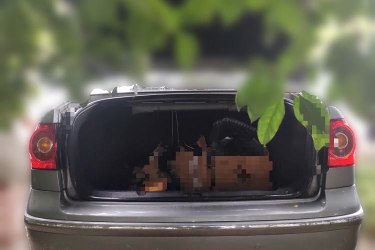 Used Volkswagen Polo 2009 Jingqu 1.6L Automatic Elegant Edition Trunk