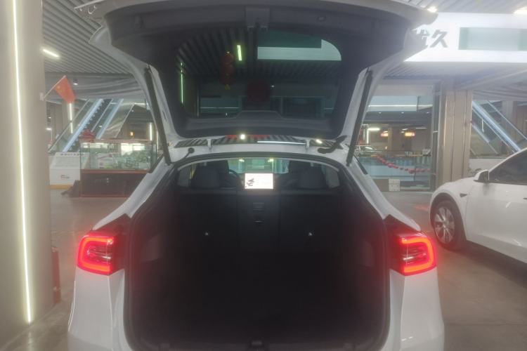 Used Tesla Model Y 2021 Standard Range Rear-Wheel Drive Version
