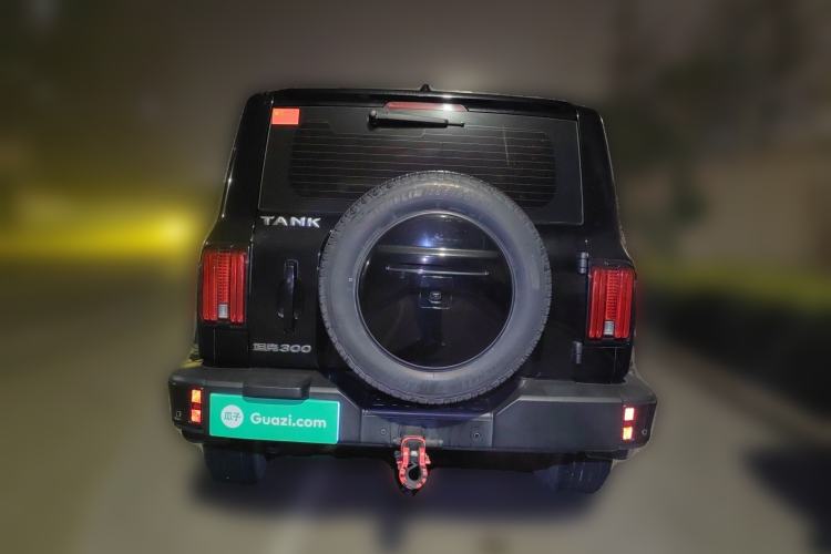 Used Tank 300 2021 City Edition 2.0T—Truly Stylish