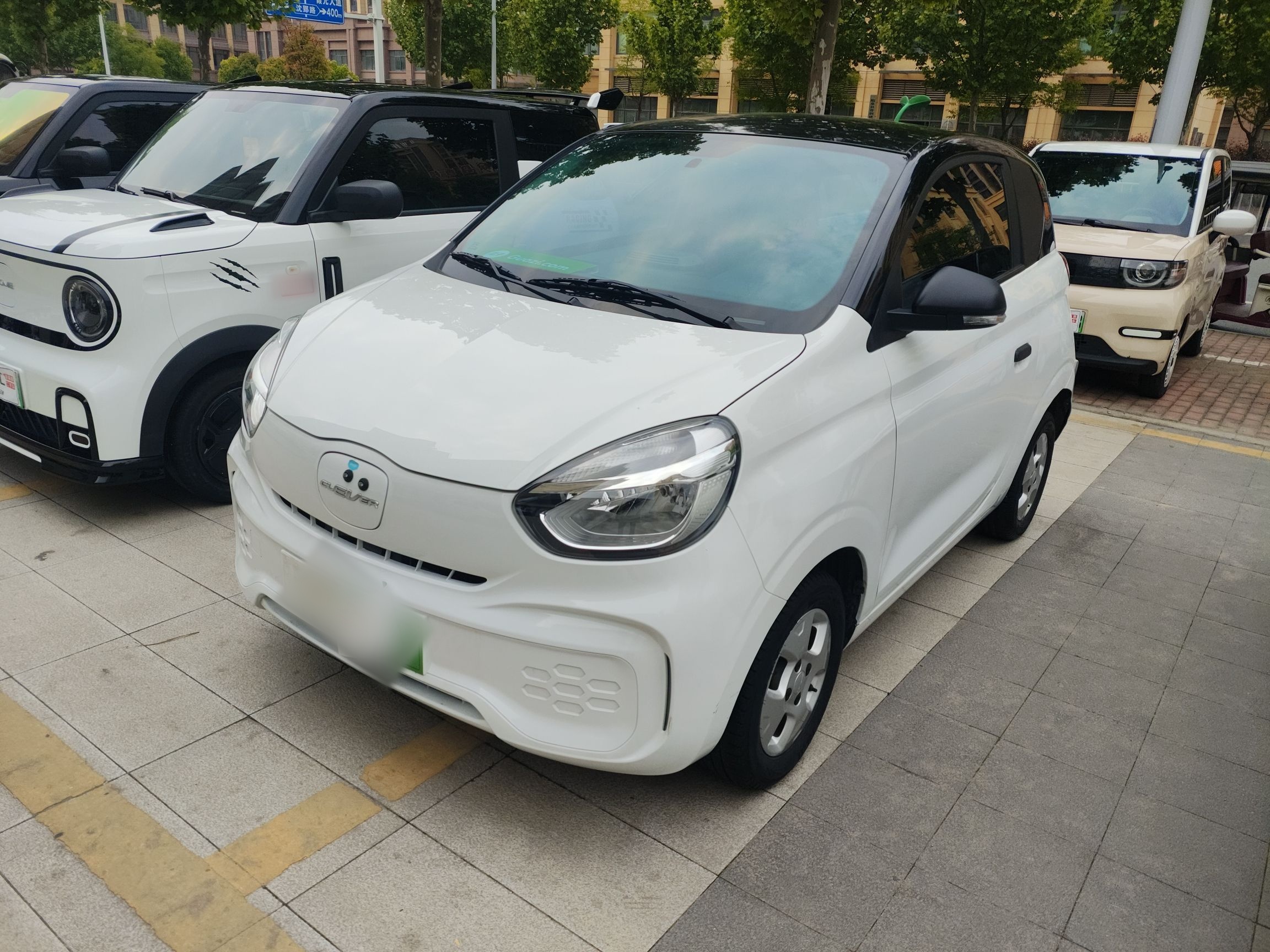 Parte inferior delantera