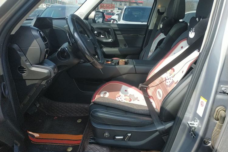 Used Haval H Dog 2023 1.5T Two-Wheel Drive Chao Ye Version Plus Left Front Seat