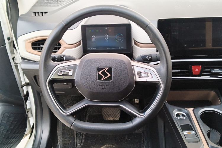 Used SOL E10X 2022 Flower Fairy Design Four-Leaf Clover