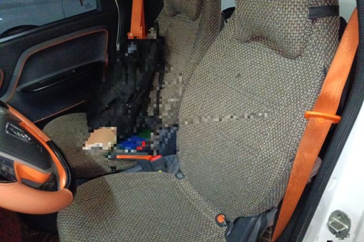 Used Baojun E100 2020 305KM Smart Drive Version Left Front Seat