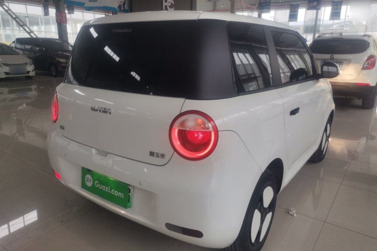 Used Qiyuan Lumin 2023 205km Xiangqin Version