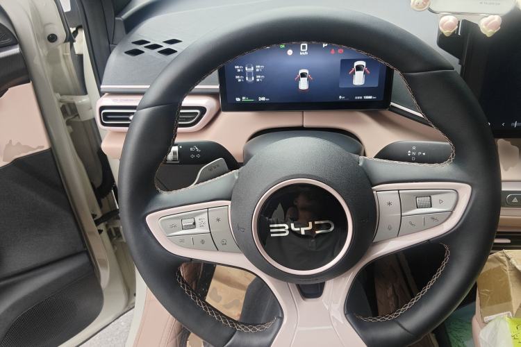 Used BYD Seagull 2025 Smart Drive Version 305 km Freedom Edition