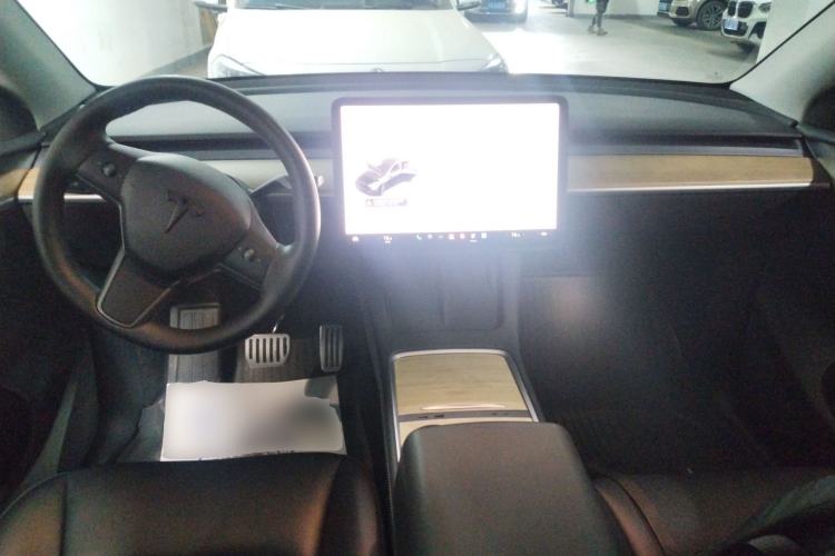 Used Tesla Model Y 2021 Standard Range Rear-Wheel Drive Version
