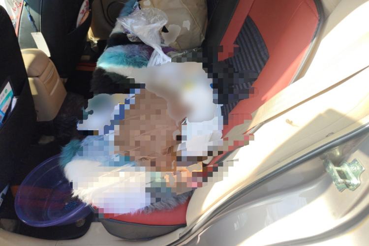 Used Chevrolet Epica 2010 1.8 Comfort Edition MT
