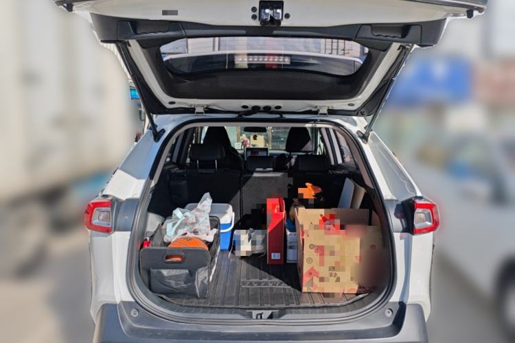 Used Toyota Wildlander 2020 2.0L CVT Two-Wheel Drive Leading Edition