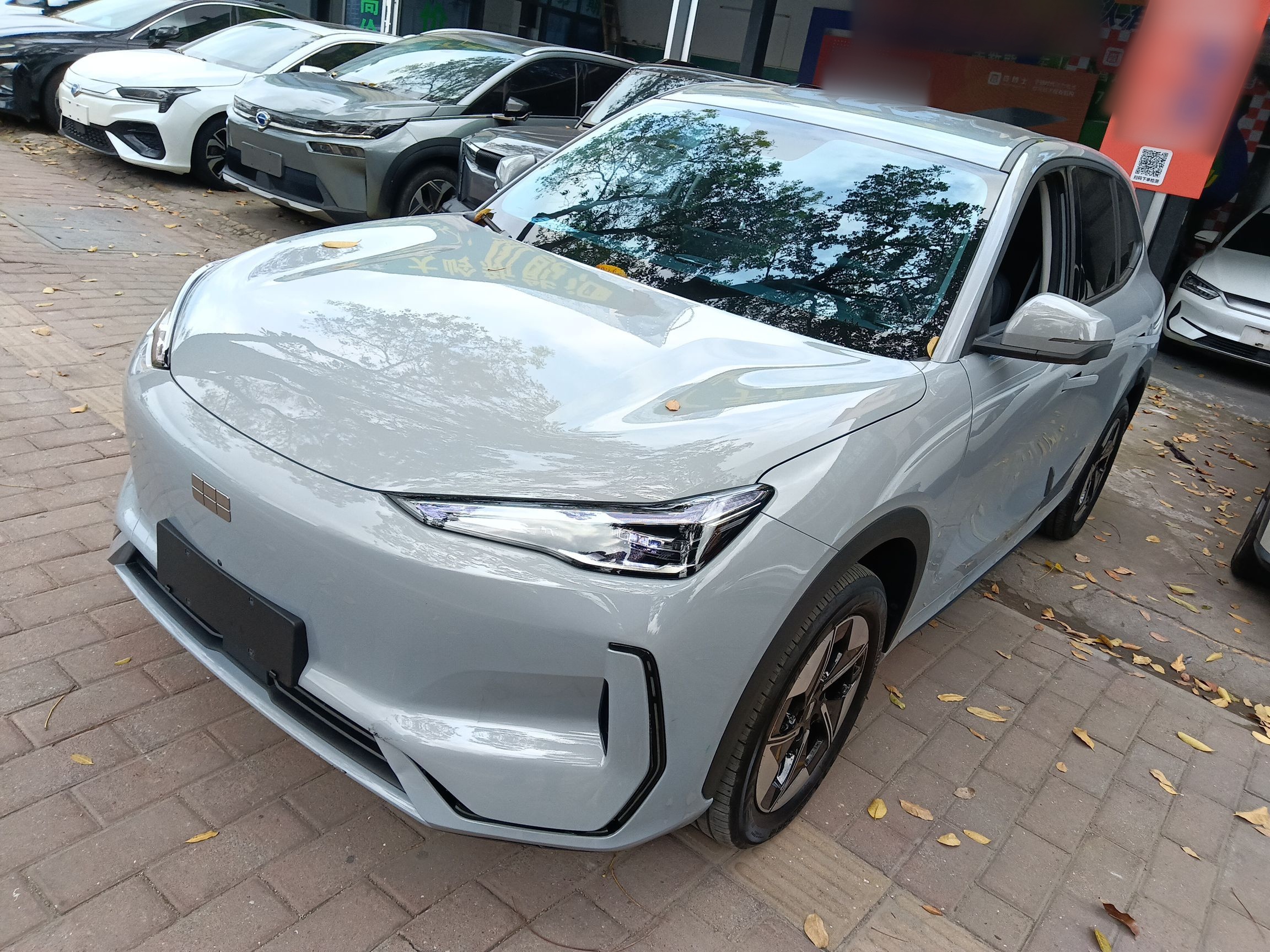 Parte inferior delantera