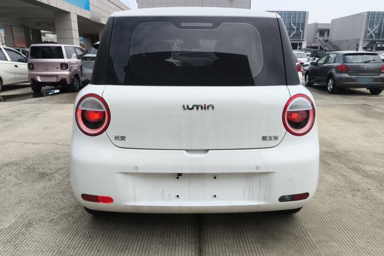 Used Qiyuan Lumin 2023 205km Xiangqin Version