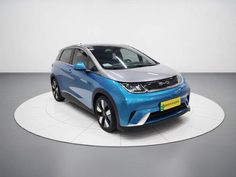Used BYD Dolphin 2021 401km Knight Edition — 3