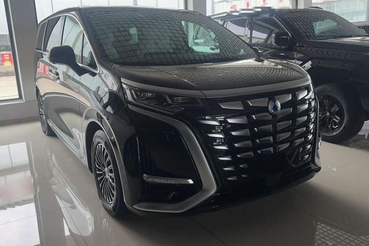 Used Denza D9 2024 DM-i 980 Four-Wheel Drive Prestige Model Exterior 2