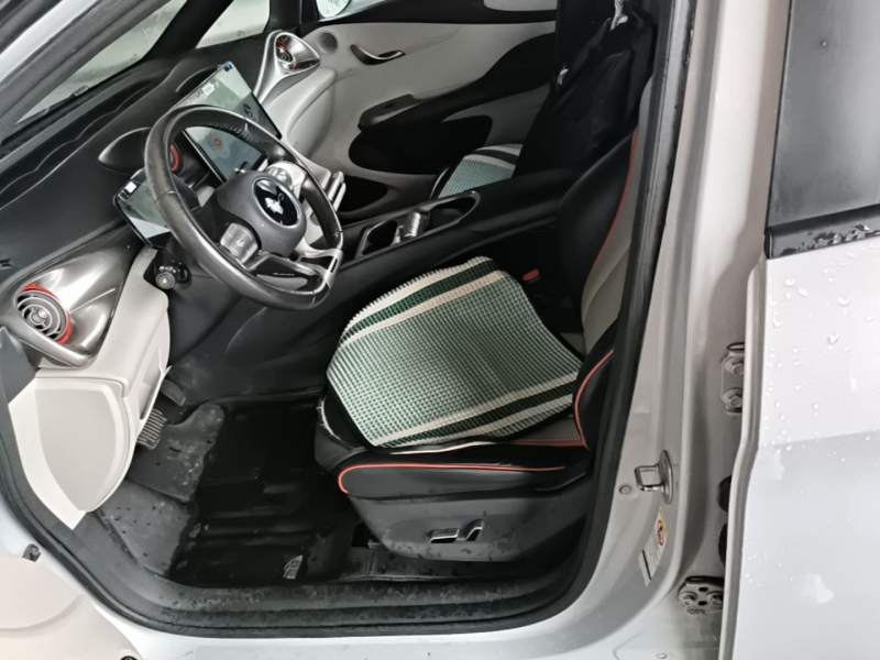 Used BYD Dolphin 2021 405 km Fashion Edition — 14
