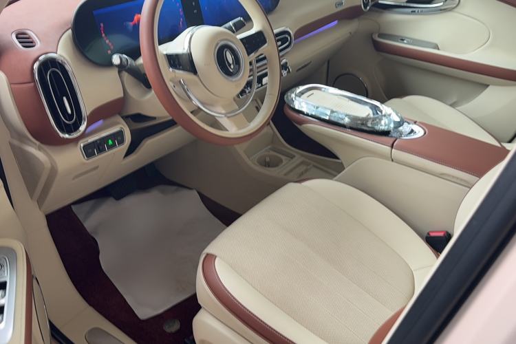 Used ORA Ballet Cat 2023 401 km Luxury Version
