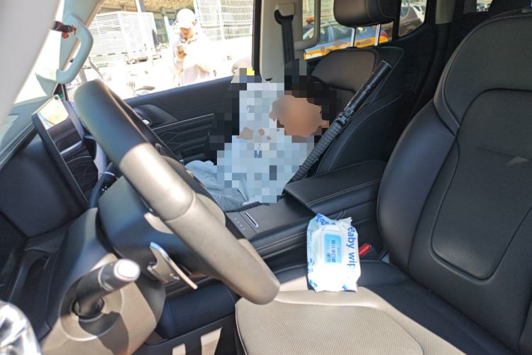 Used Tank 300 2025 2.0T Conqueror
