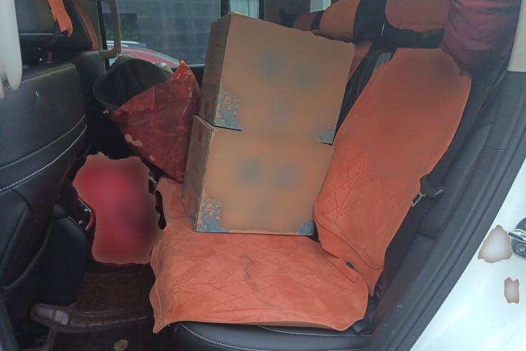 Used Tank 300 2025 2.0T Conqueror