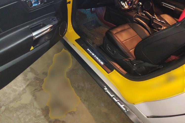 Used Ford Mustang 2015 2.3T Performance Edition