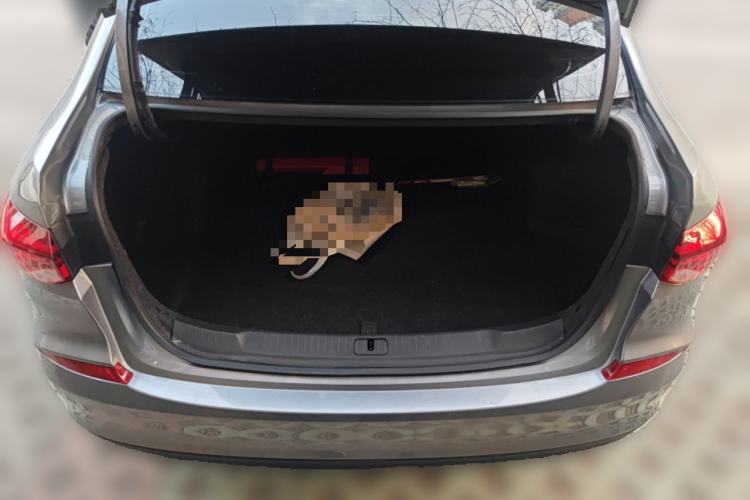 Used Chevrolet Monza 2019 Redline 320T Dual-Clutch Joyful Edition China VI Standard