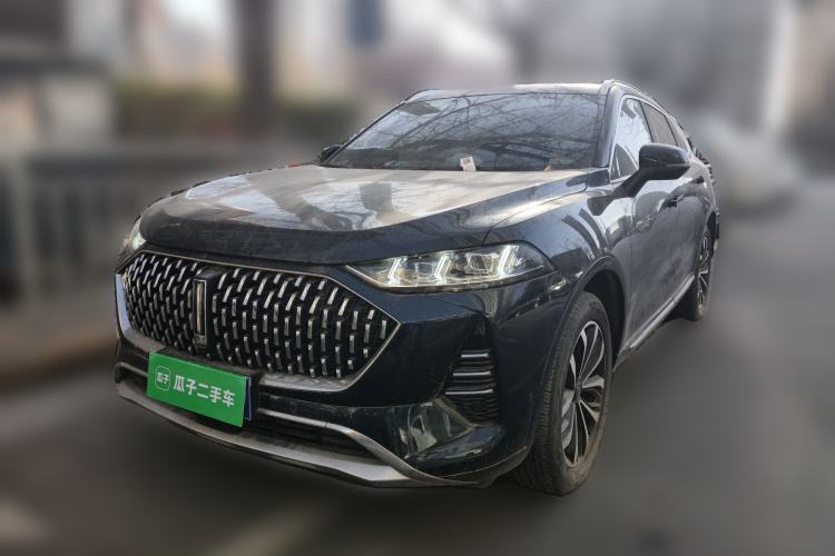 Used Wey Mocha 2021 2.0T Two-Wheel-Drive Premium Edition