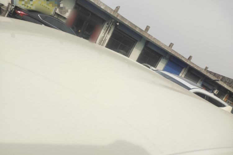 Used BYD Dolphin 2025 420km Free Edition