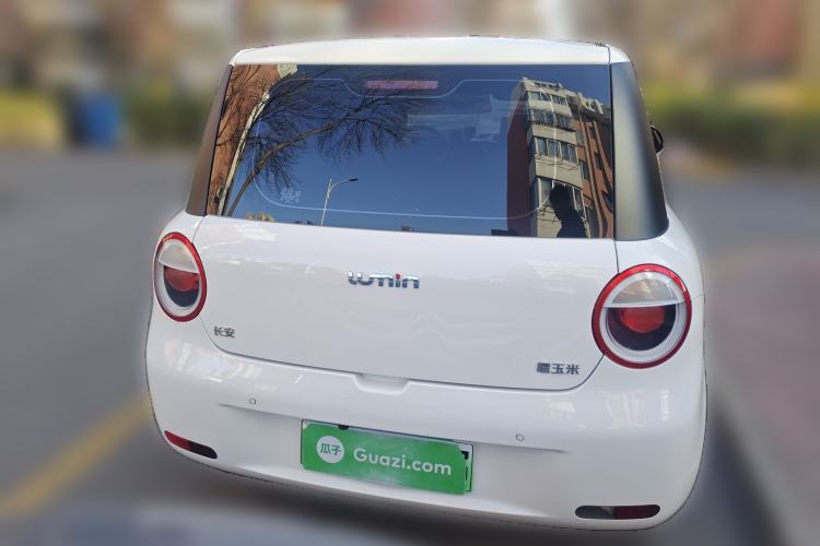 Used Qiyuan Lumin 2023 205km Xiangqin Version
