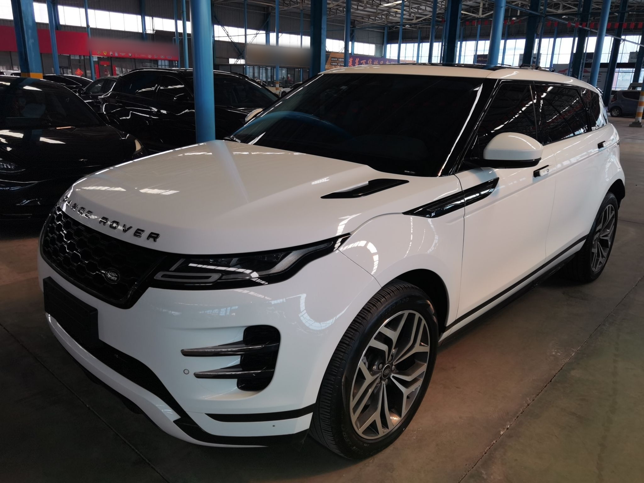 Parte inferior delantera