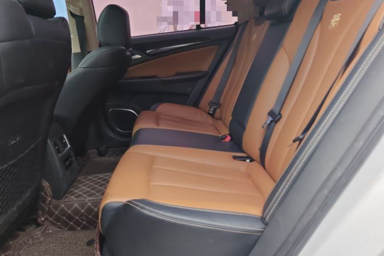 Used BYD Qin New Energy 2017 1.5T Luxury Model Left Rear Seat