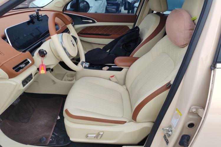 Used ORA Good Cat 2022 Morandi Edition 400km Standard Range Luxury Version Lithium Iron Phosphate Left Front Seat