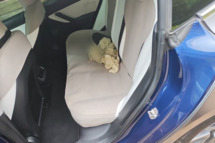 Used Tesla Model 3 2020 Refreshed Version Long-Range Rear-Wheel Drive Left Rear Seat