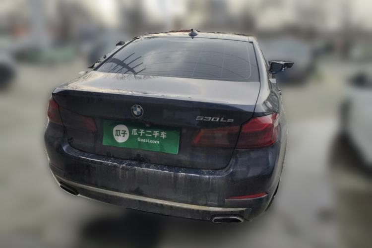 Used BMW 5 Series New Energy 2019 530Le Luxury Package
